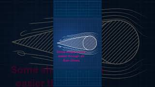Skin Friction and Form Drag #shorts