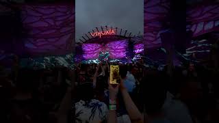 When you don 39 t want your cat to miss out on the Ibiza fun UshuaiaIbiza Tomorrowland Ibiza2024