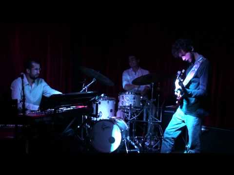 Pedro Martins Trio - "Seven Days of Falling"