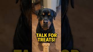 The best way to start the morning #doglife #treats #dogtraining #rottweiler