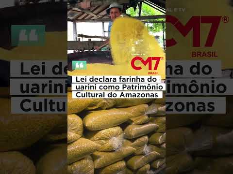 Lei declara farinha do uarini como Patrimônio Cultural do Amazonas