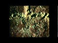 Orloff And The Invisible Man 1970 Trailer