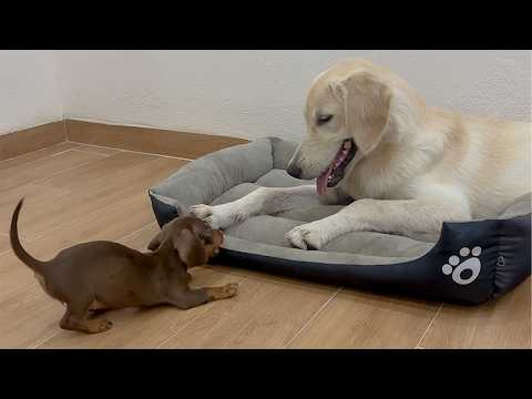 YouTube 썸네일