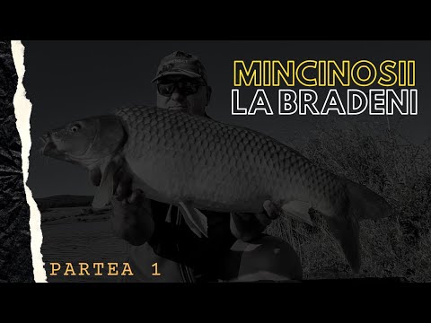 Brădeni, un lac plin de pește în mijlocul României (1)