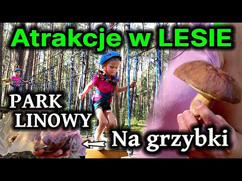 Pole namiotowe nad RZEKĄ i ATRAKCJE leśne -Park linowy i GRZYBOBRANIE -Ile grzybków zebrała Aga?