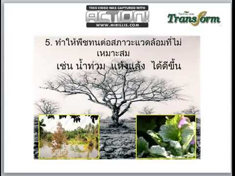 เคล็ดลับในการเพิ่มขนาดอวัยวะเพศชาย ฉันมีระยะน้อยกว่าลูกชาย