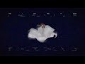 Wasia Project - Vogue (Official Lyric Video)