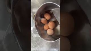 How to get an easy peel hard boiled egg everytime