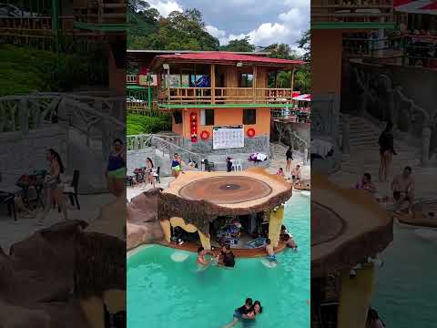 Casa en el árbol en Génova Quindío