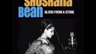 SHOSHANA BEAN Blood From a Stone