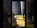 A Good Man Eats Pussy And Loves It Shorts