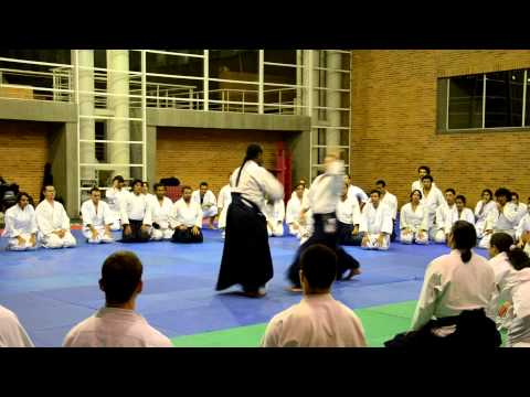 HD - Aikido Shihan Donovan Waite Sensei - 2012 Colombia, Bogota - Yokomenuchi Iriminage