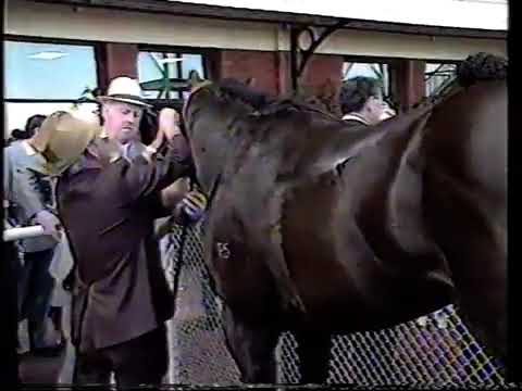 1991 Blue Diamond Stakes Caulfield