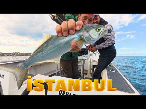 🎣 Bluefish Fishing with Garfish! A Great Fish Show in the Bosphorus 🔥
