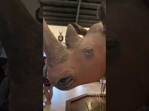 Zoológico de Baluarte