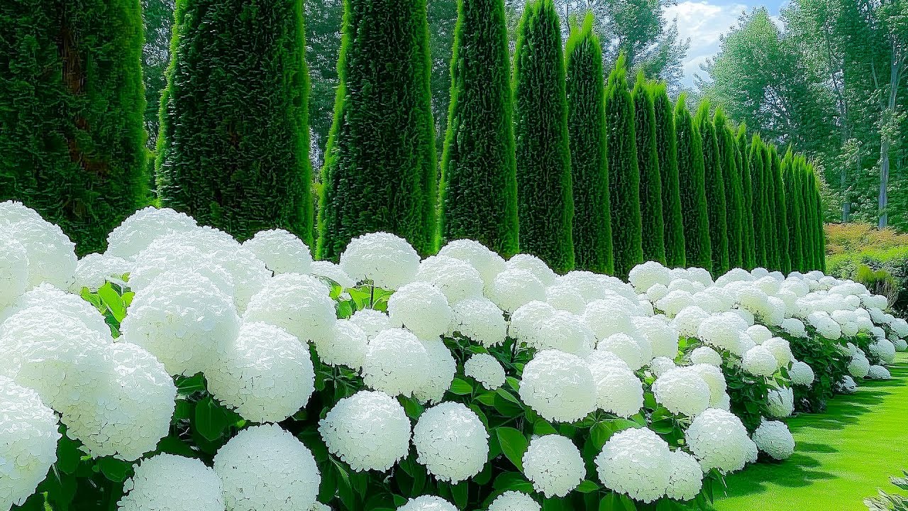 Very Relaxing Music 🌱 Relieving Stress and Seeking Inner Peace, Pleases the soul