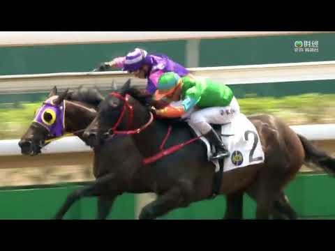 2022/23 (037) - WoodFire Bro (木火兄弟) - 梁家俊 (初跑泥地信心十足順利贏馬)