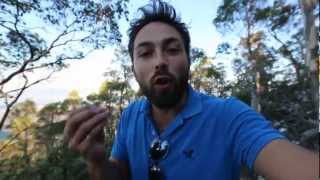 Clarifications on frogs and single photons