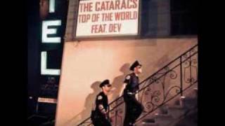 Top of The World- The Cataracs feat. Dev [Lyrics On Screen]