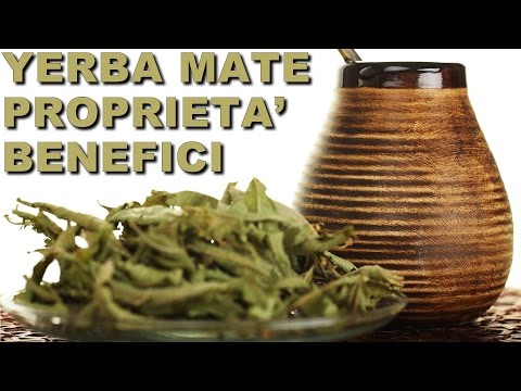 Yerba Mate - Proprietà e Benefici