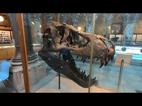 DAmy Jacques - 2021 Nov 25 - UK Trip - Oxford