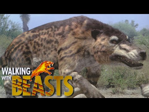 Walking With Beasts [2001] - Andrewsarchus Screen Time