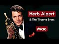 Herb Alpert The Tijuana Brass Mae HD Música Instrumental