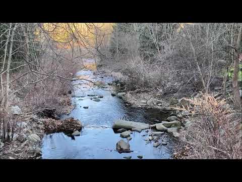 Visiting Wallace and Jackson Brooks, Hedden Park, New Jersey, January 19, 2021