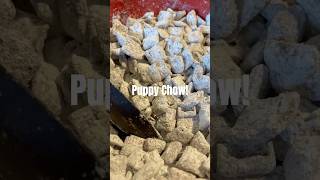 Easy Puppy Chow! #puppychow #food #powderedsugar #yummy