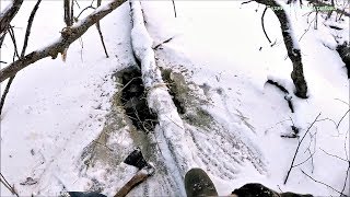 Ловля бобров зимой на капканы