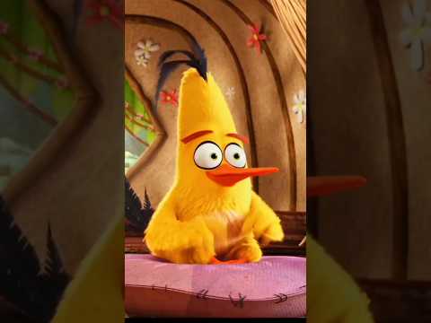 Chuck's speed ticket scene @AngryBirds  #Animation #Funny #Movie #Clips #Status #Kids #Shorts