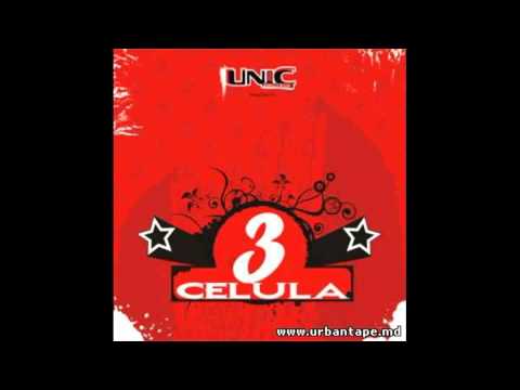 06. Dricu - Cel Mai Prost Geniu