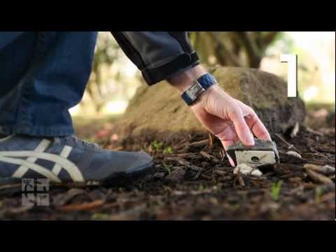 Examples of different cache types