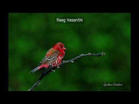 Raag Vasanthi on bansuri by Giridhar Dodderi #bansuri #music #raagvasanthi #vasanthi #basanti