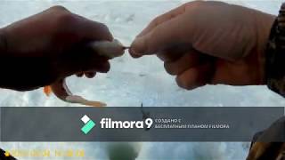 Рыбалка подледная на братском водохранилище