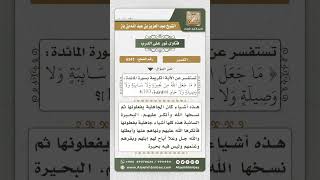 صورة 6247 - تفسير قوله تعالى ( مَا جَعَلَ اللَّهُ مِنْ بَحِيرَةٍ وَلا سَائِبَةٍ.. ) - نور على الدرب