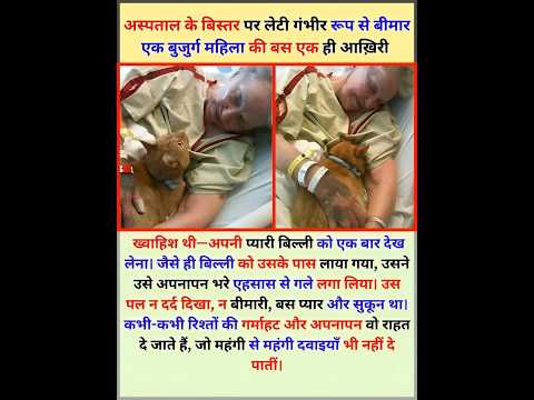 Aakhri Khwahish: Dadi Aur Billi 😢🐱! #EmotionalShorts #RealLifeStory #ViralShorts #Shorts