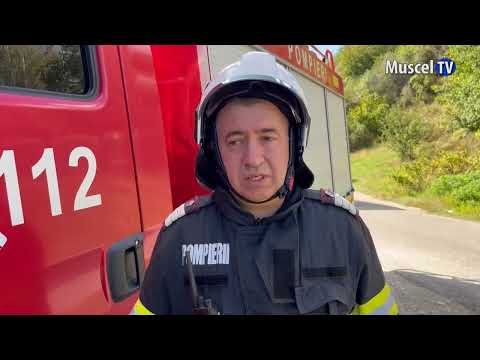 MUSCEL TV diary 15 09 2025 MAN FOUND DEAD IN CAR