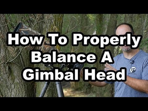 How To Balance A Gimbal Head