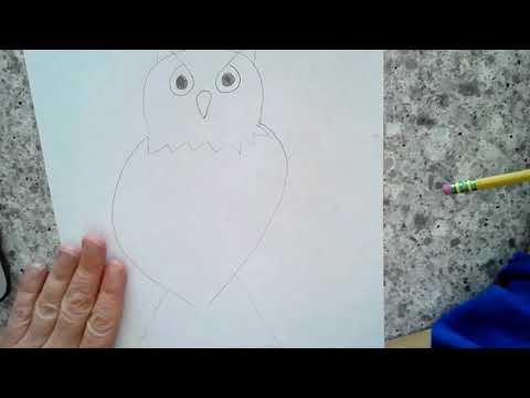How to draw an owl