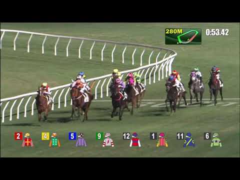 20/1/2021 (358) Winston's Lad - K Teetan