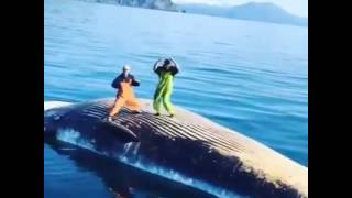 Men dancing on top of a Dead Whale
