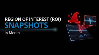 Region of Interest Snapshots In Merlin
