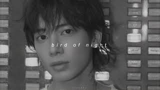 Download lagu tomorrow x together - bird of night (sped up reverb) mp3 Download lagu tomorrow x together - bird of night (sped up reverb) mp3