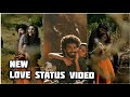 New Romantic What S App Status Video Veena Nandakumar Malayalam