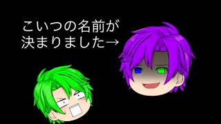 名前が決まりましたァ！