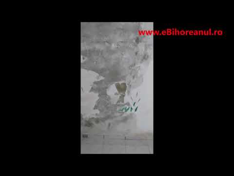 eBihoreanul.ro - Condiții inumane la centrul de carantină din Pădurea Neagră