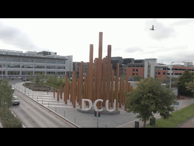 BSc in Aviation Management Overview