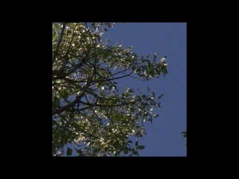 01. sincerityisdead - Moon [03.10.2015]