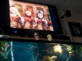 Opening And Closing To 10 Years Of Thomas 2005 Dvd